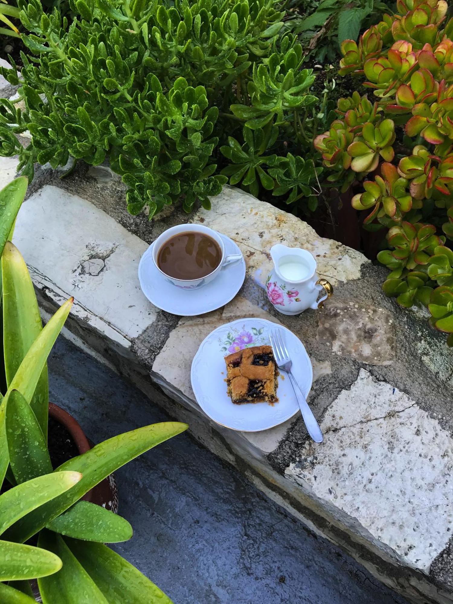 Sunflower Himara المظهر الخارجي الصورة